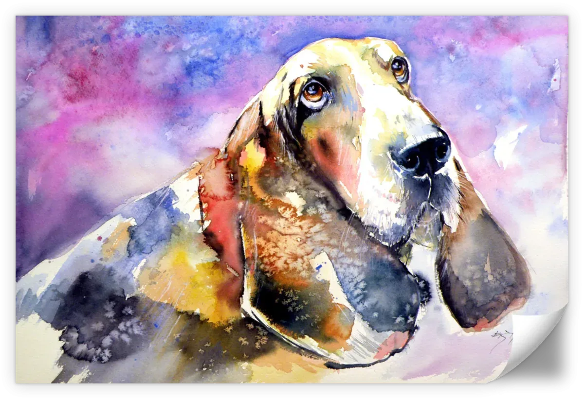 A Basset Hound Wall Art