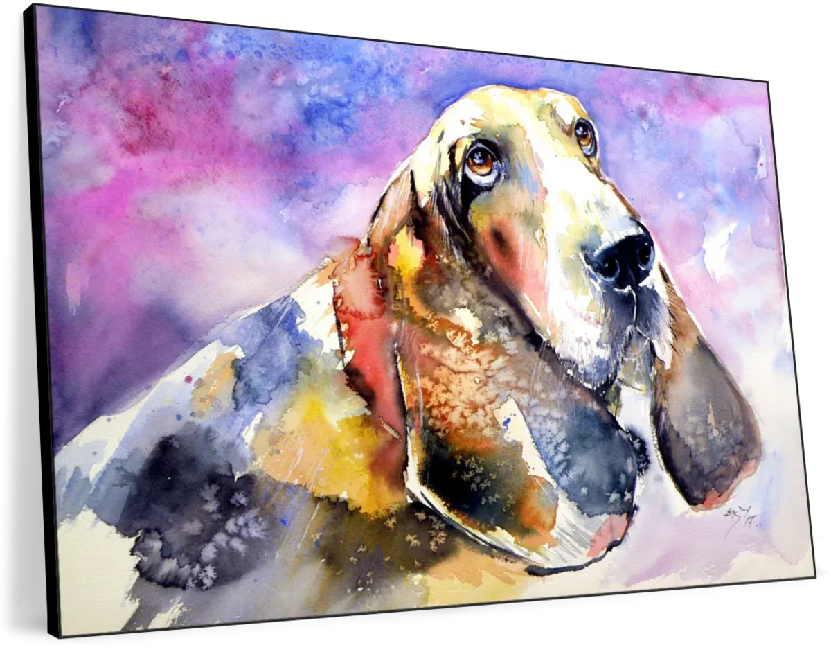 A Basset Hound Wall Art