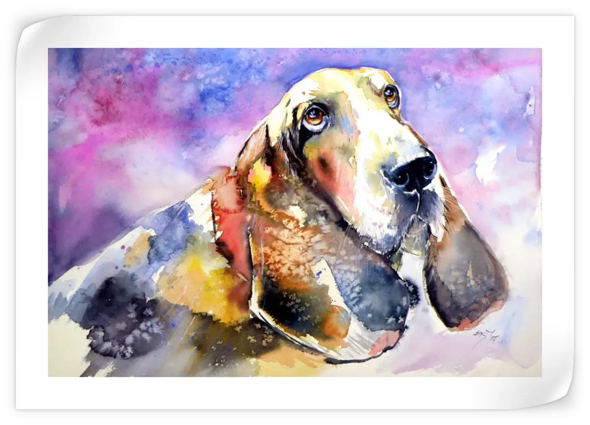 A Basset Hound Wall Art