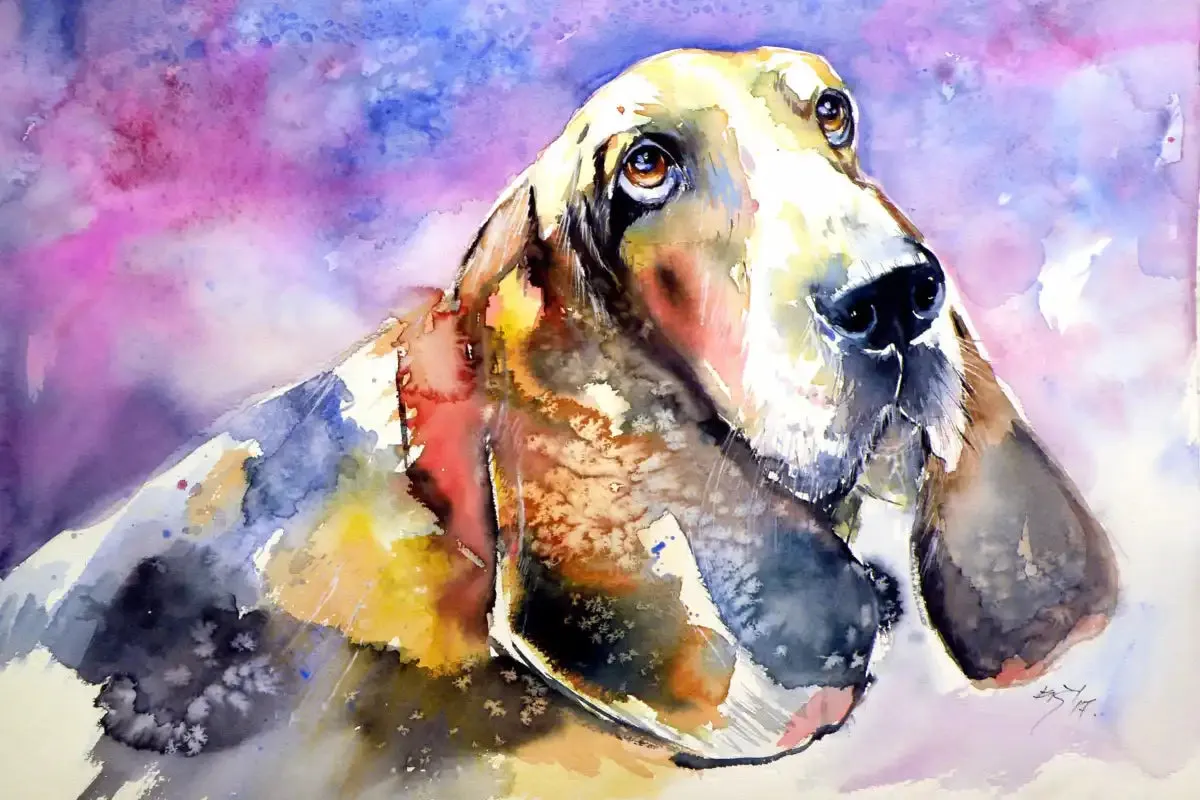 A Basset Hound Wall Art