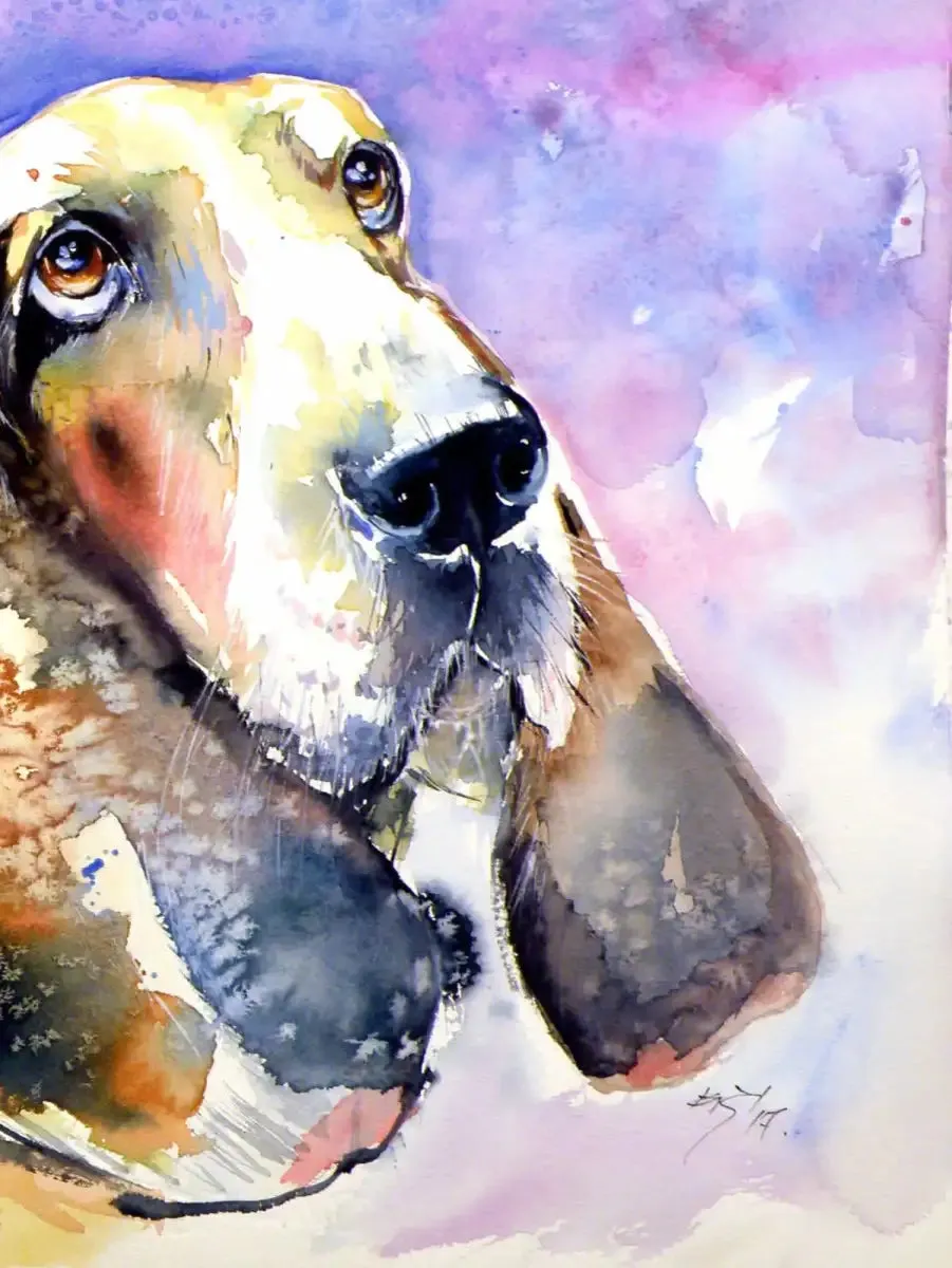 A Basset Hound Wall Art