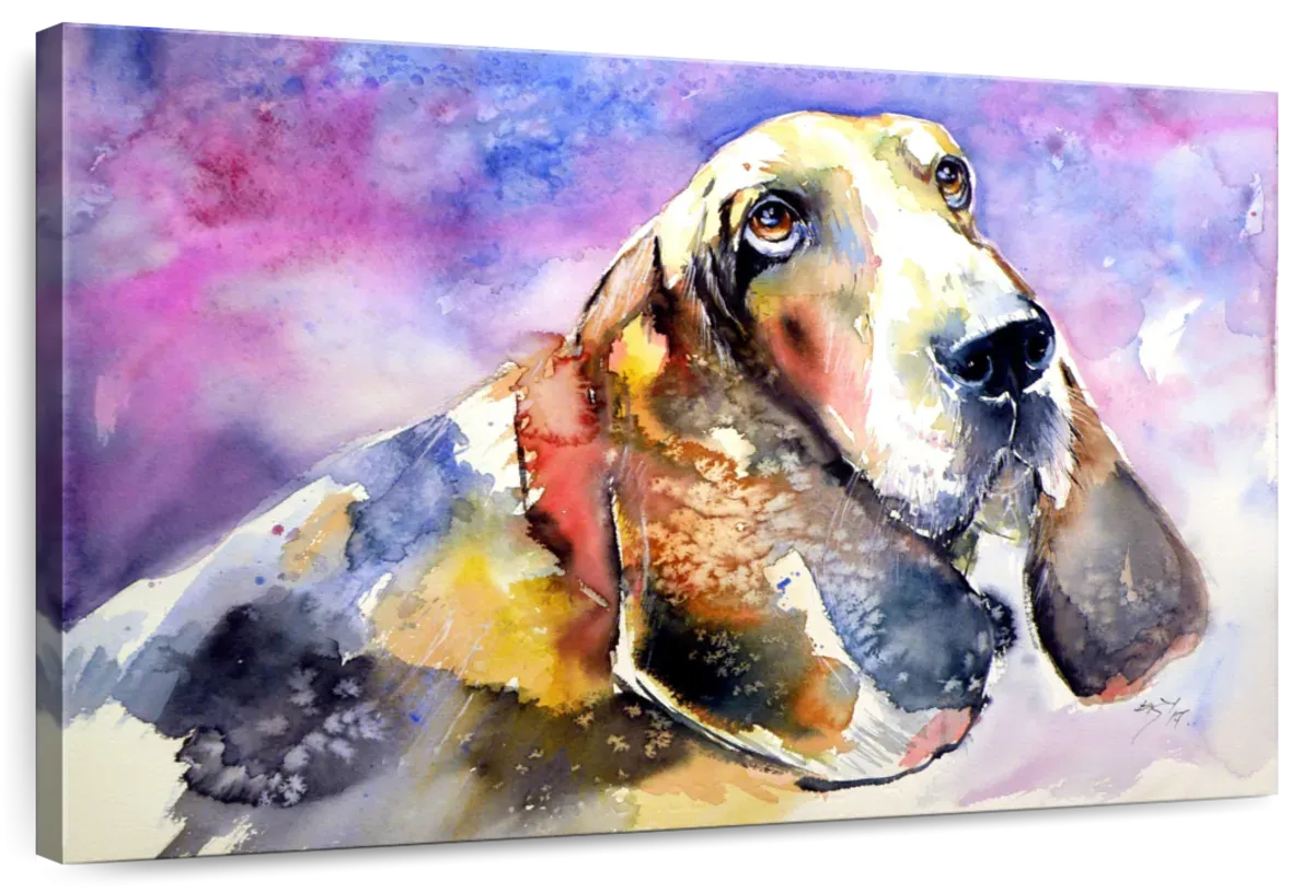 A Basset Hound Wall Art