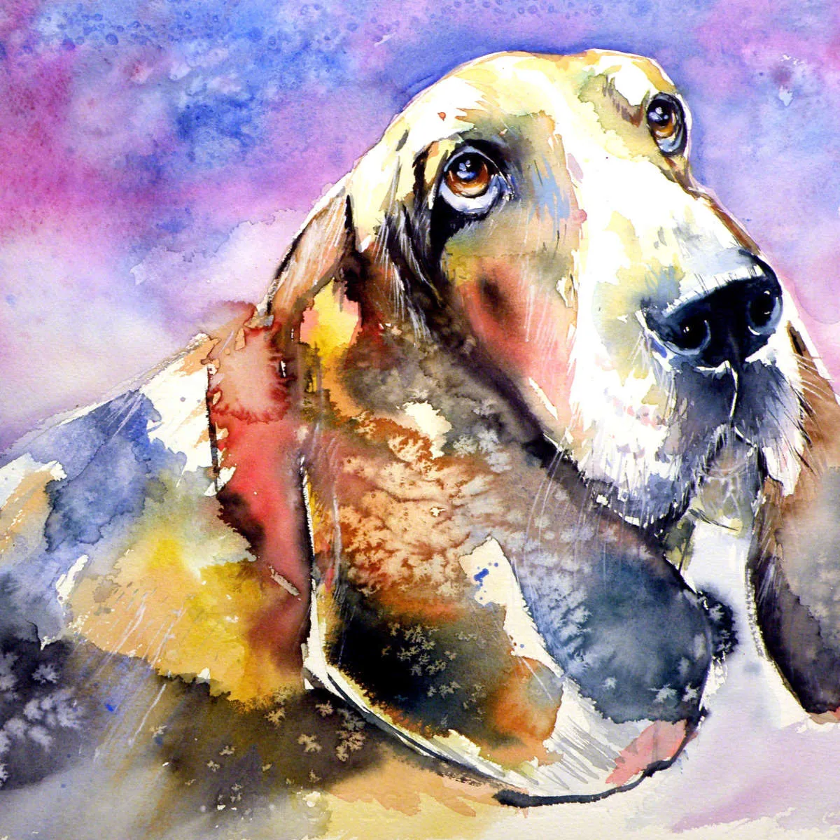 A Basset Hound Wall Art