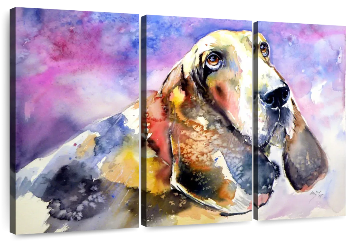 A Basset Hound Wall Art