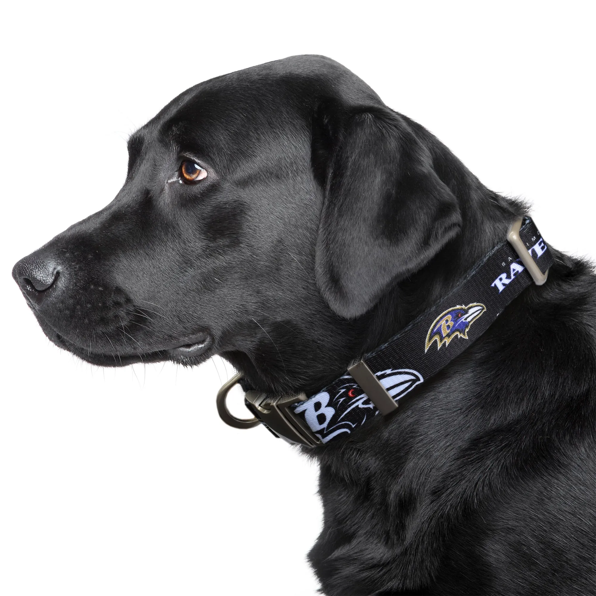 Baltimore Ravens Premium Pet Collar