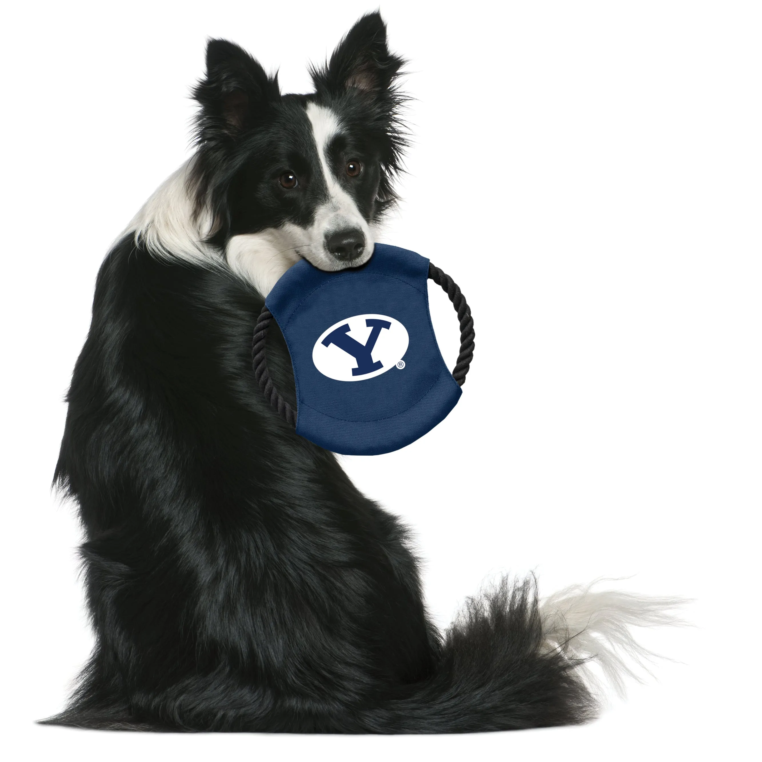 Brigham Young University Team Flying Disc Pet Toy