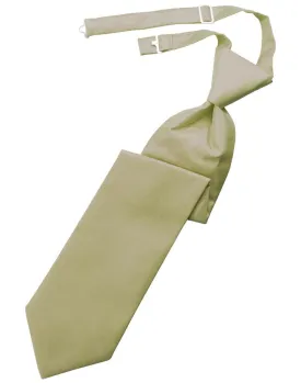 Champagne Solid Twill Windsor Tie