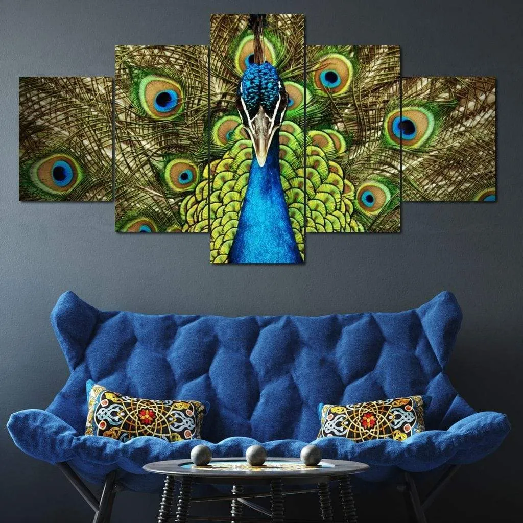 Champion Peacock