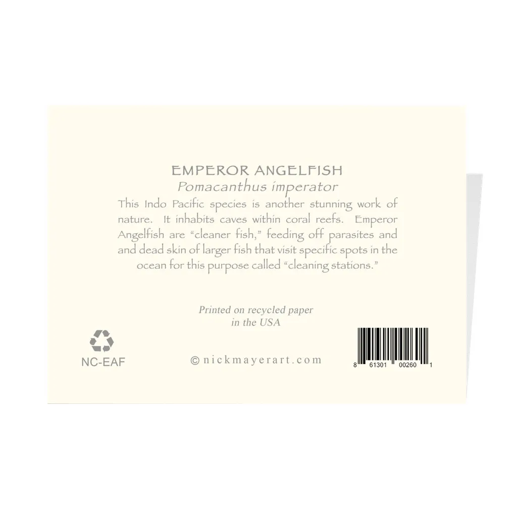 Emperor Angelfish Notecards