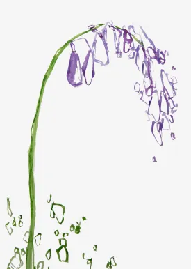 Minimal Bluebell Wall Art Print