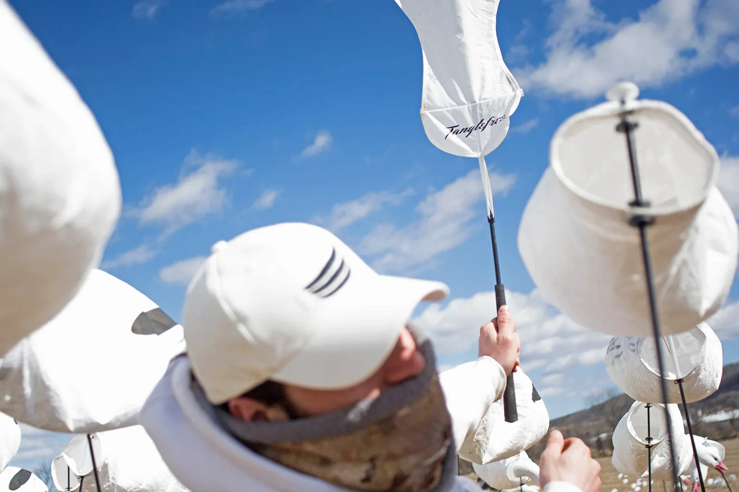 Snow Goose Flag